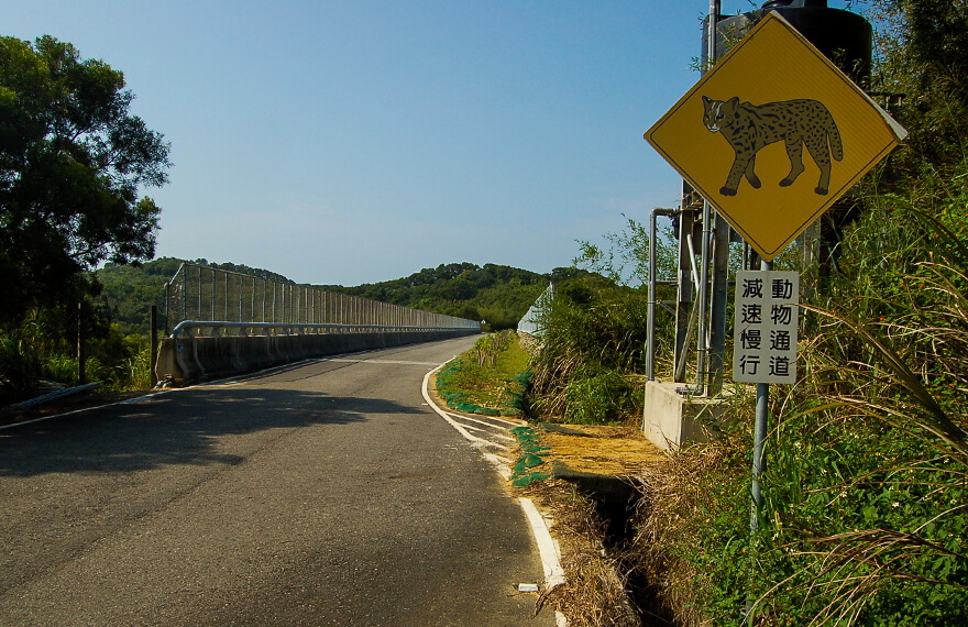 高公局在國3通霄跨越橋上打造動物生態廊道
